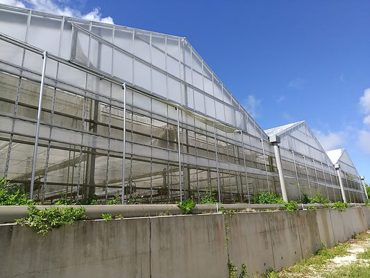 農園日記「自然からのGOサイン」