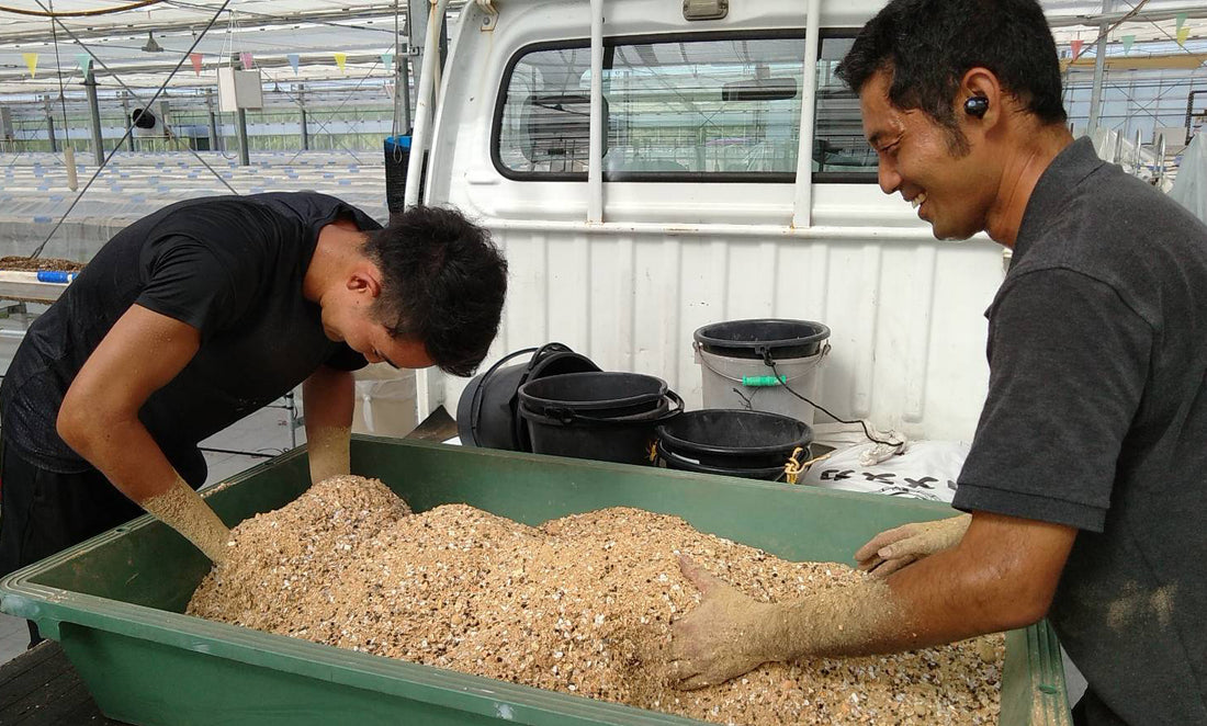 農園日記「土づくり」