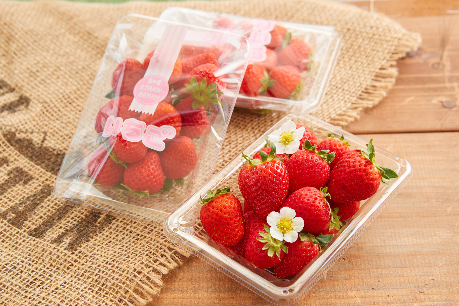 イチゴ農家が厳選した鮮度抜群の島イチゴ(生)